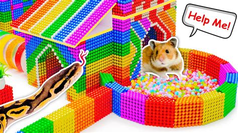 Hamster Escapes the Creative Maze for Pets in real life